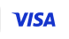 Visa payment logo.