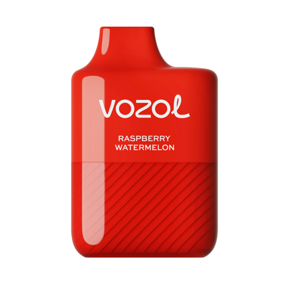 VOZOL Alien disposable vape with Raspberry Watermelon flavor, 600x600 size.